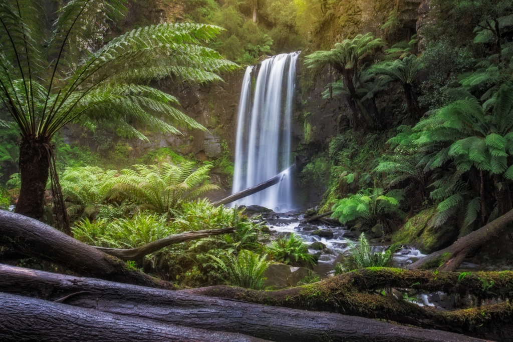 hopetoun falls australia fine art print