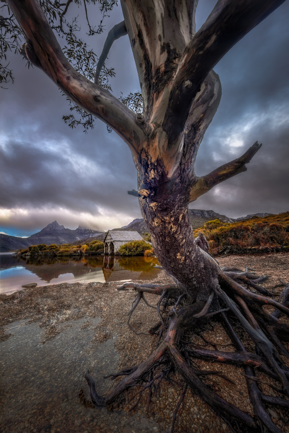 Landscape Photography Workshop Tours - Cradle Mountain, Dove Lake Boatshed, Tasmania