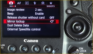 Canon Mirror Lockup - Tips for getting razor-sharp photos from your camera | We Are Raw Photography