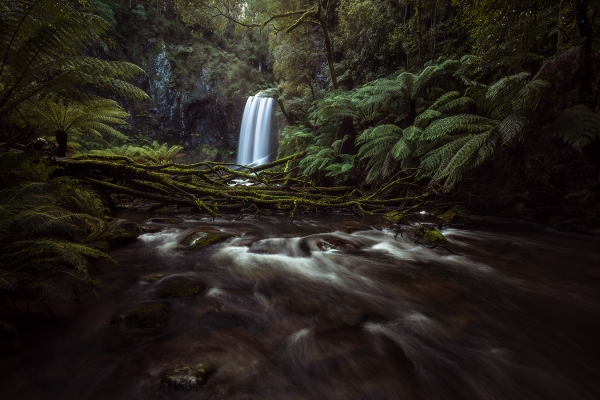 Moody Landscape Photography - Hopetoun Falls - Beech Forest, Great Ocean Road, Australia | Holiday with We Are Raw Photography Tours