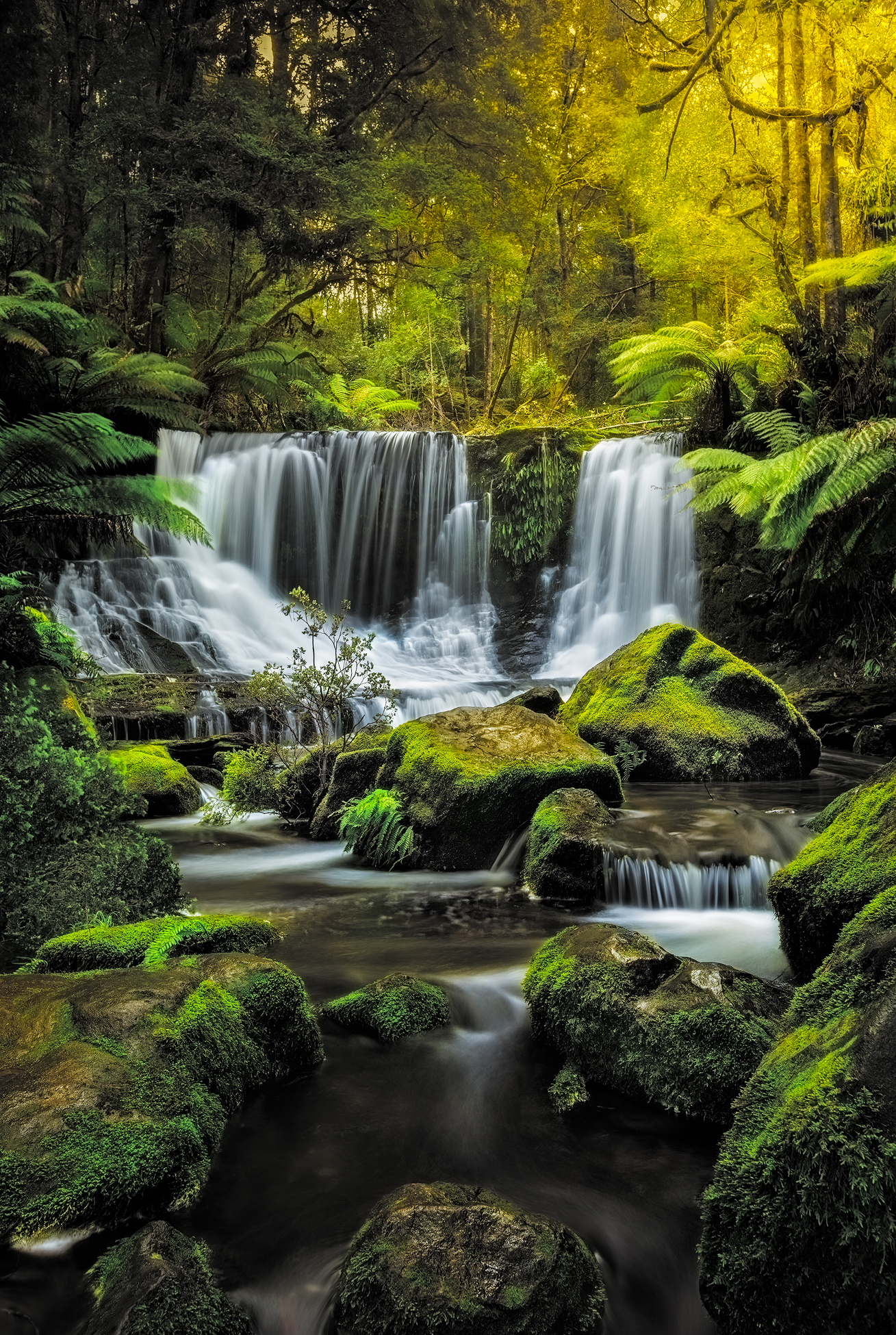 Horseshoe Falls, Mount Field, Tasmania | Waterfall Photography Fine Art by George Triantafillou | We Are Raw Photography Tours