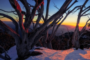 Australian Winter Landscape Fine Art Print | Mount Buffalo, The Horn, High Country, Victoria, Australia | We Are Raw Photography Tours