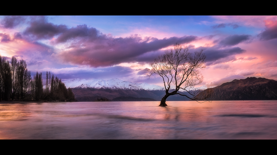 Wanaka tree at sunset in front of the mountain range